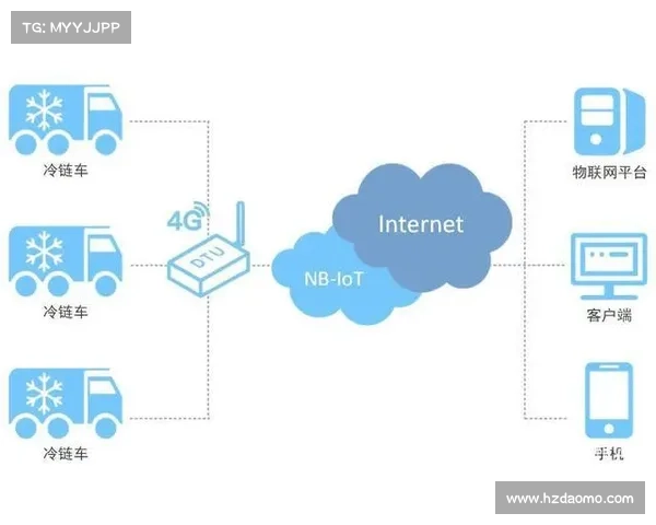 掌握网络世界七大探索秘诀开启智慧与高效的信息获取之旅 掌握网络世界七大探索秘诀开启智慧与高效的信息获取之旅