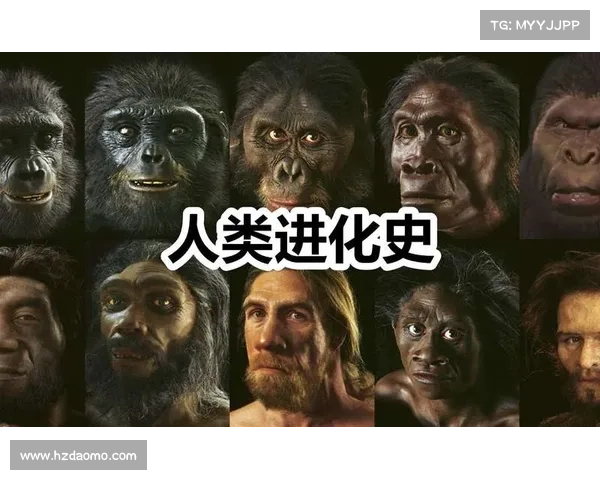 文化交流与社会变迁:跨越时空的历史轨迹与人类文明的共同发展 文化交流与社会变迁:跨越时空的历史轨迹与人类文明的共同发展